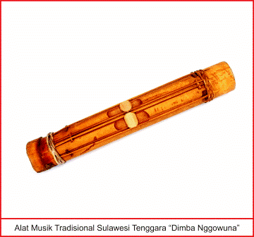 alat-musik-tradisional-sulawesi-tenggara-dimba-nggowuna alat-musik-tradisional-sulawesi-tenggara-dimba-